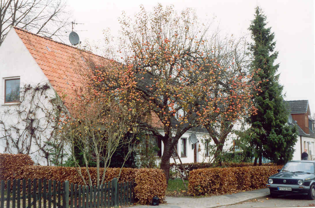 Danziger Stra�e 12